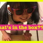 What's in the box?